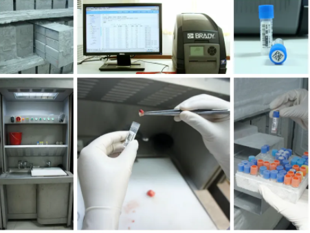 樣本庫管理系統