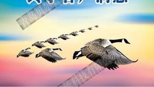 BEOL青島貝爾智能科技啟用SCRM系統2021.10.26