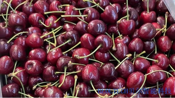 2022年，你實現(xiàn)車厘子自由了嗎？BEOL貝爾科技22.1.14