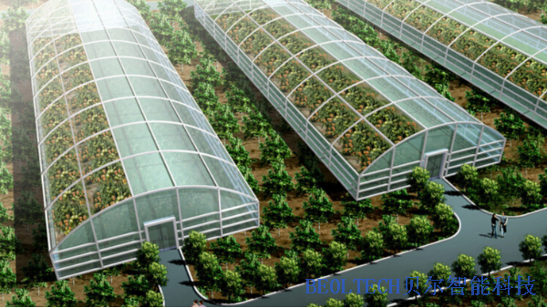 BEOL貝爾科技溫濕度監控設備為溫室蘑菇房實時監測溫濕度22.4.29