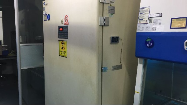 為什么說實時監測樣本溫度變化是保證實驗數據準確性的關鍵?25.8.11