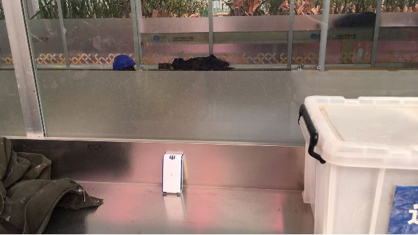 貝爾科技溫度監(jiān)控系統(tǒng)賦能農(nóng)業(yè)公司種子大棚開啟精準(zhǔn)溫度監(jiān)控新時(shí)代24.11.6